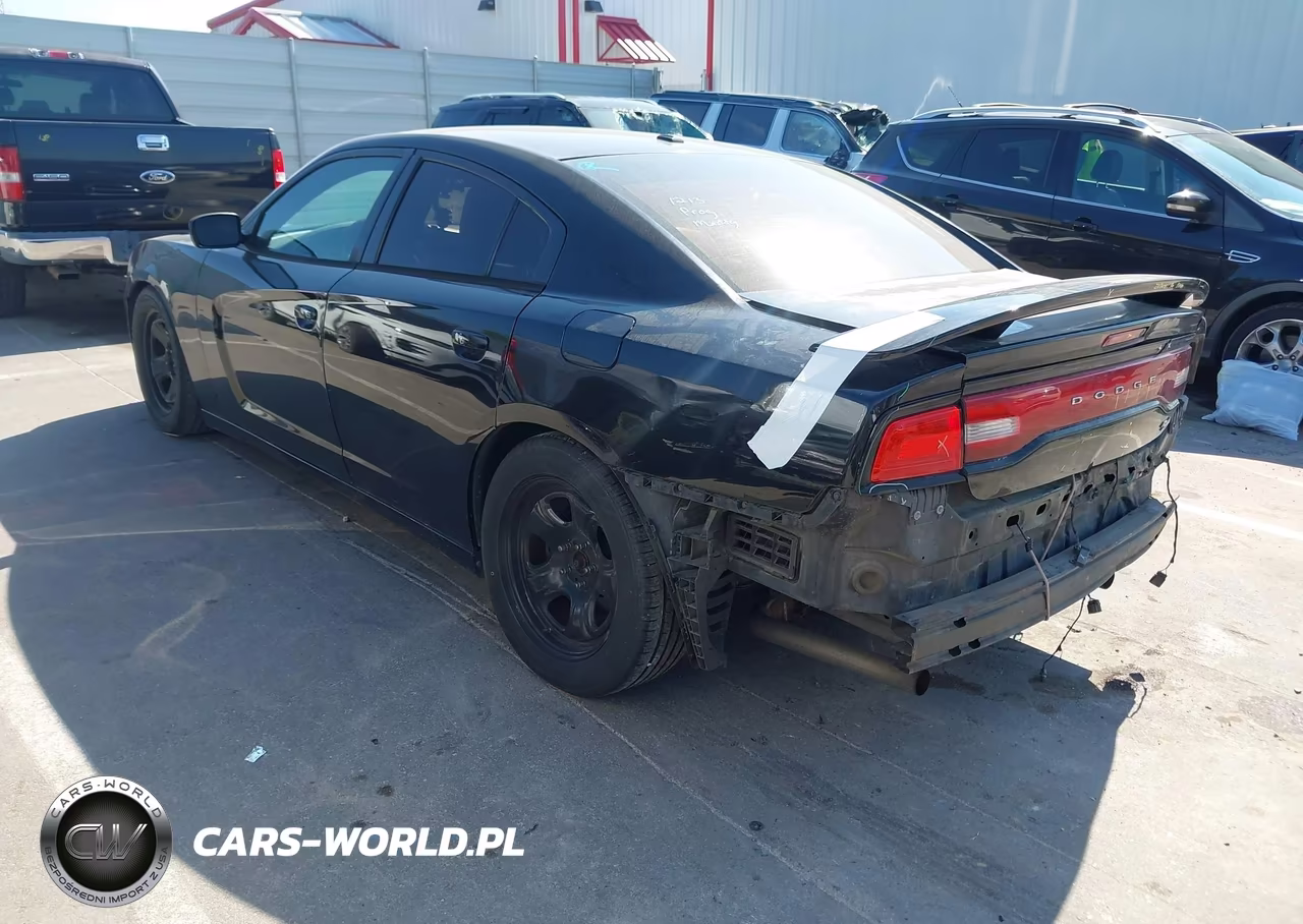 2014 Dodge Charger R-T VIN:2C3CDXCT8EH189391 - 3