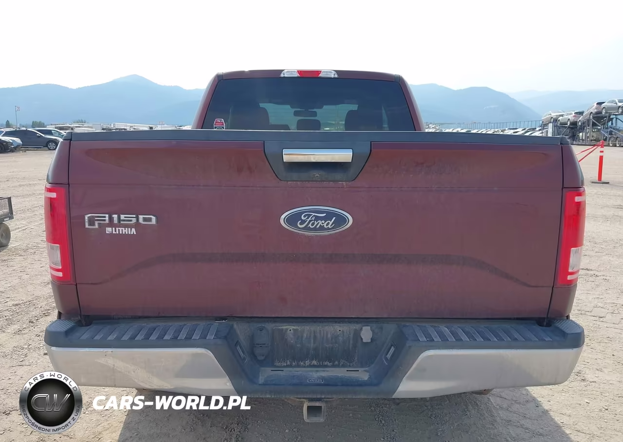 2015 Ford F-150 Xlt VIN:1FTEX1EP3FKE75037 - 17