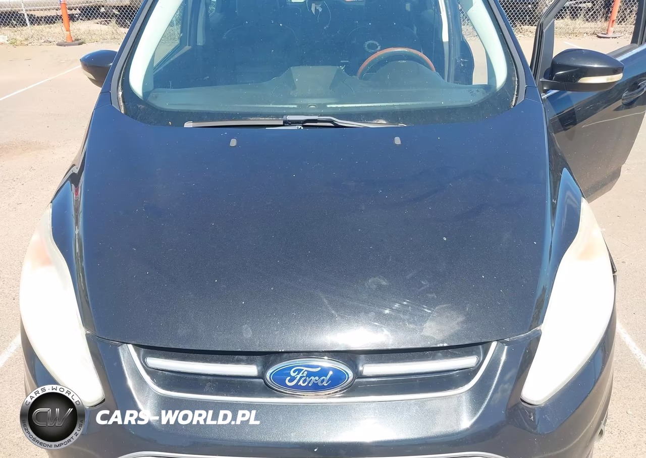 2013 Ford C-Max Energi Sel VIN:1FADP5CU8DL536391 - 10