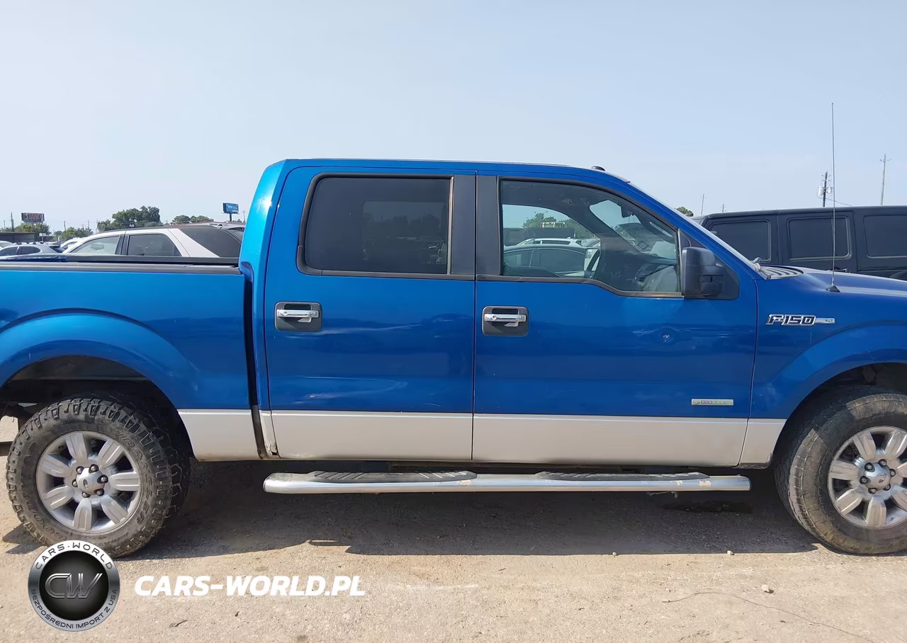 2011 Ford F-150 Xlt VIN:1FTFW1CT6BKE01774 - 13