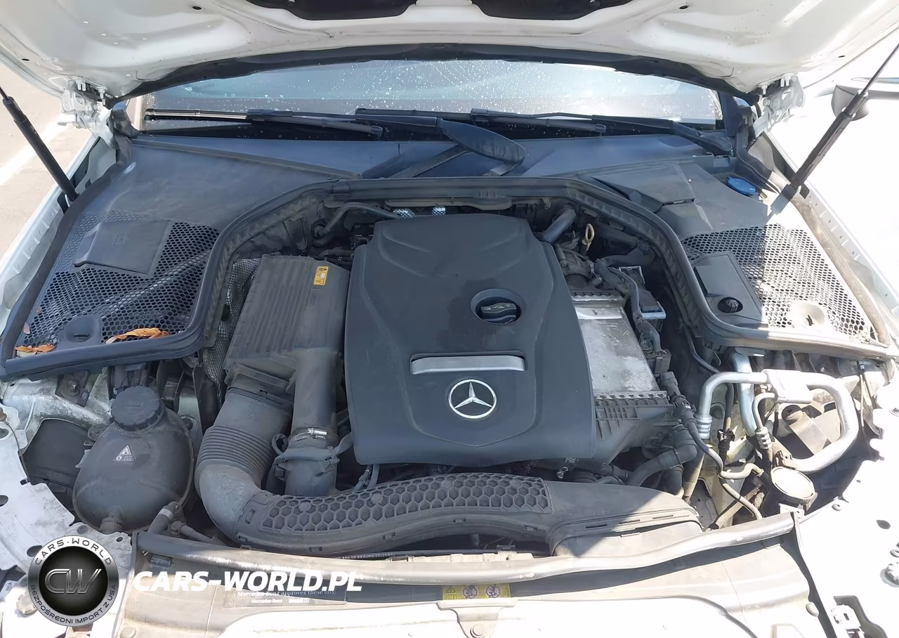 2018 Mercedes-Benz C 300 VIN:WDDWK4JBXJF645576 - 10