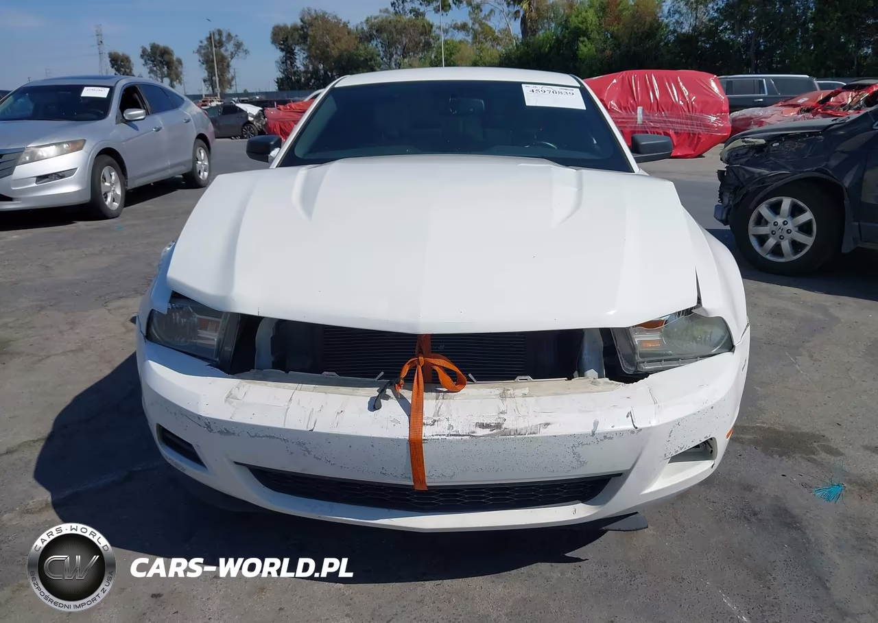 2012 Ford Mustang V6 Premium VIN:1ZVBP8AM9C5207933 - 12