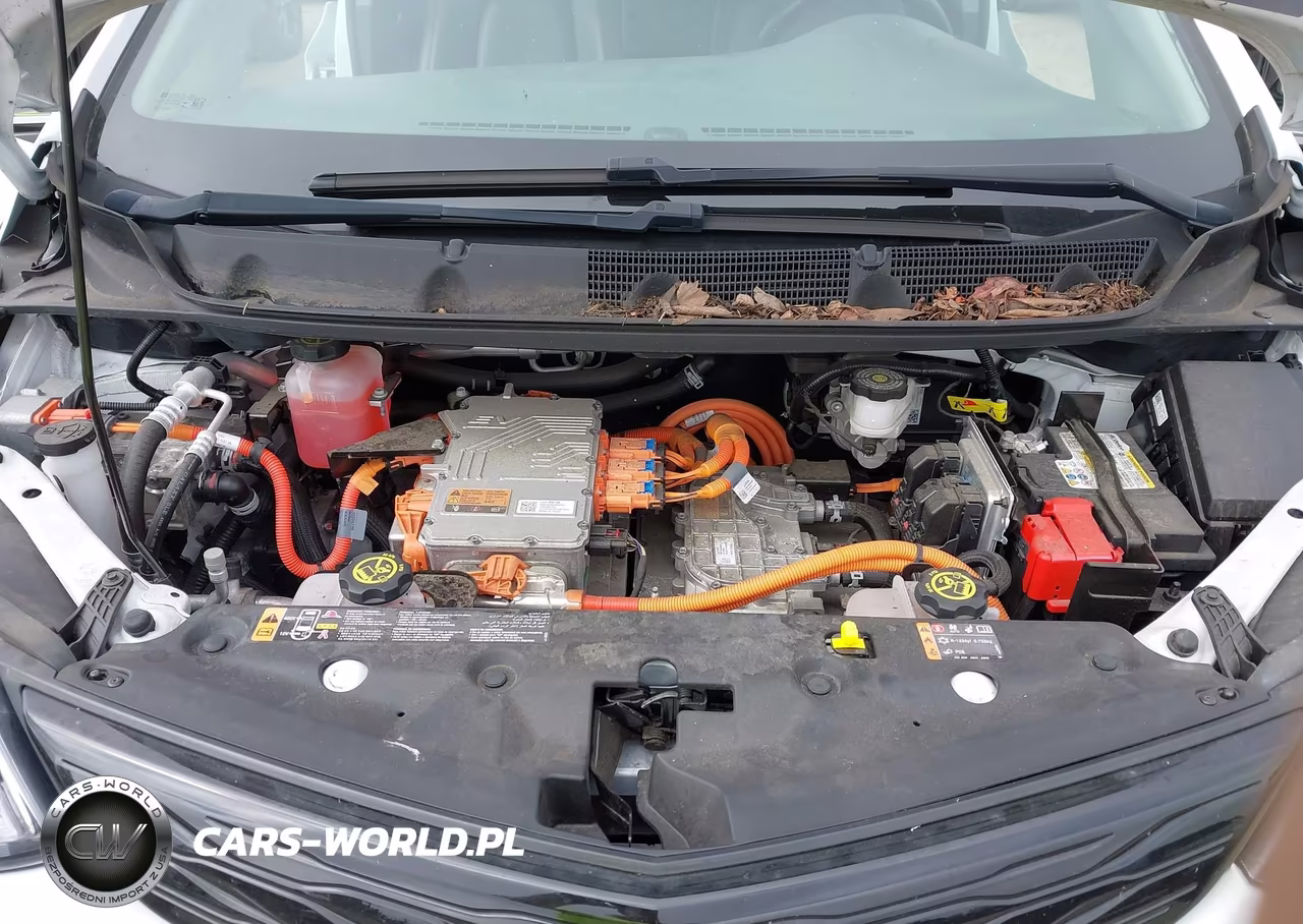 2021 Chevrolet Bolt Ev Fwd Premier VIN:1G1FZ6S06M4103141 - 10