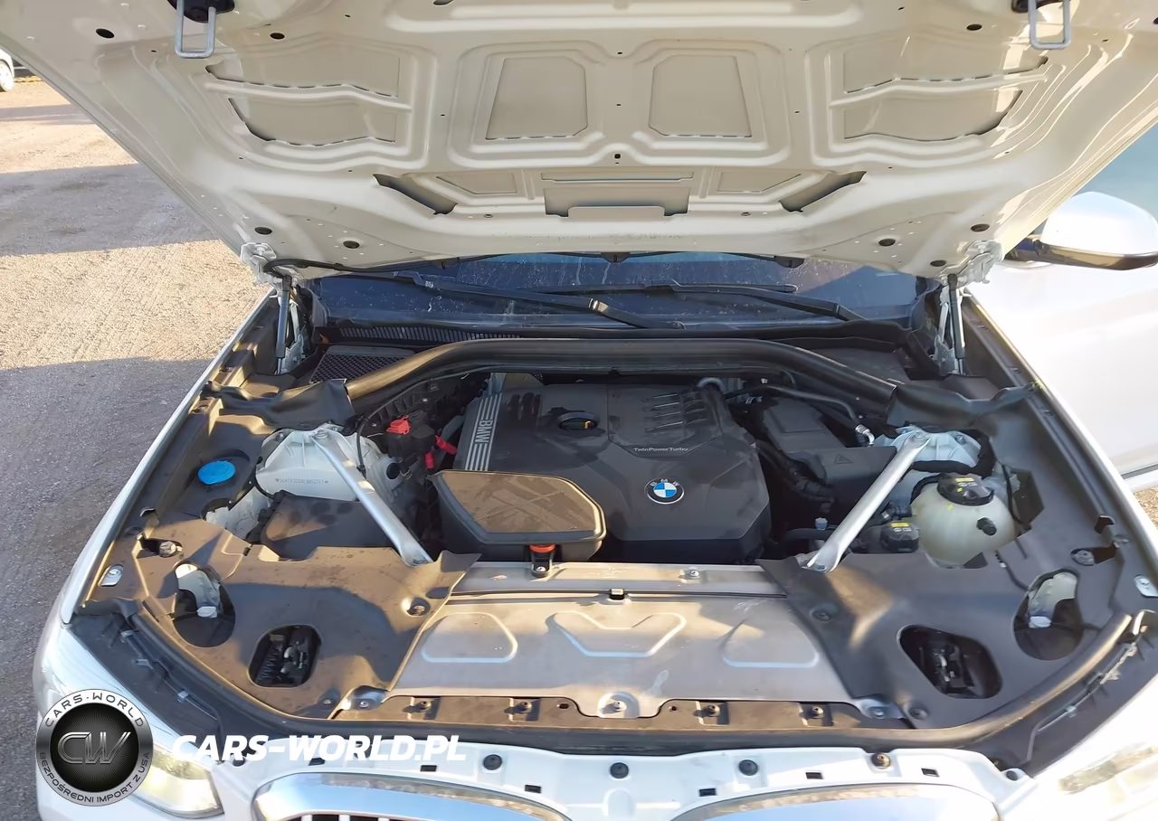 2020 BMW X3 Sdrive30I VIN:5UXTY3C0XL9B53747 - 10