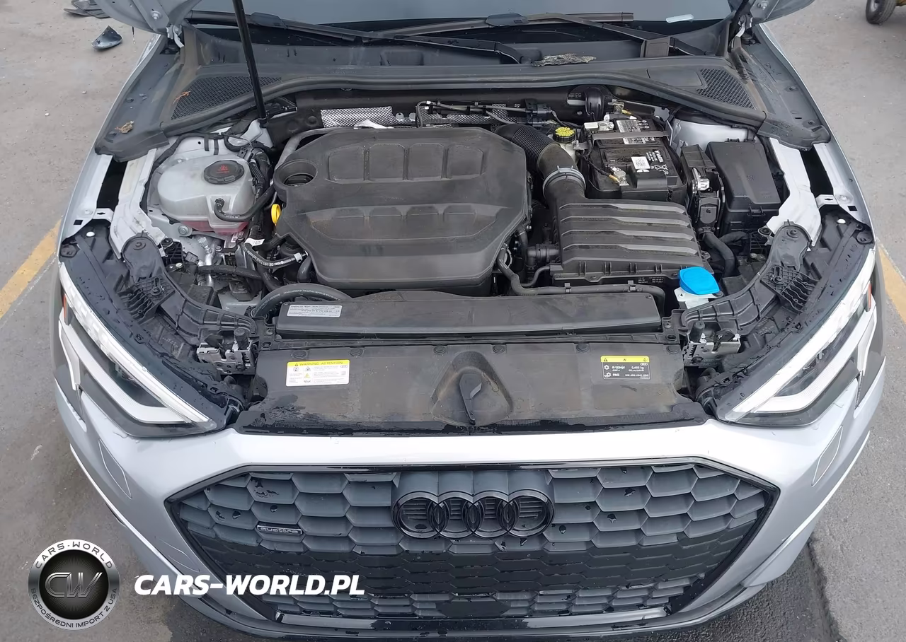 2023 Audi A3 Premium 40 Tfsi Quattro S Tronic VIN:WAUGUDGY6PA069251 - 10