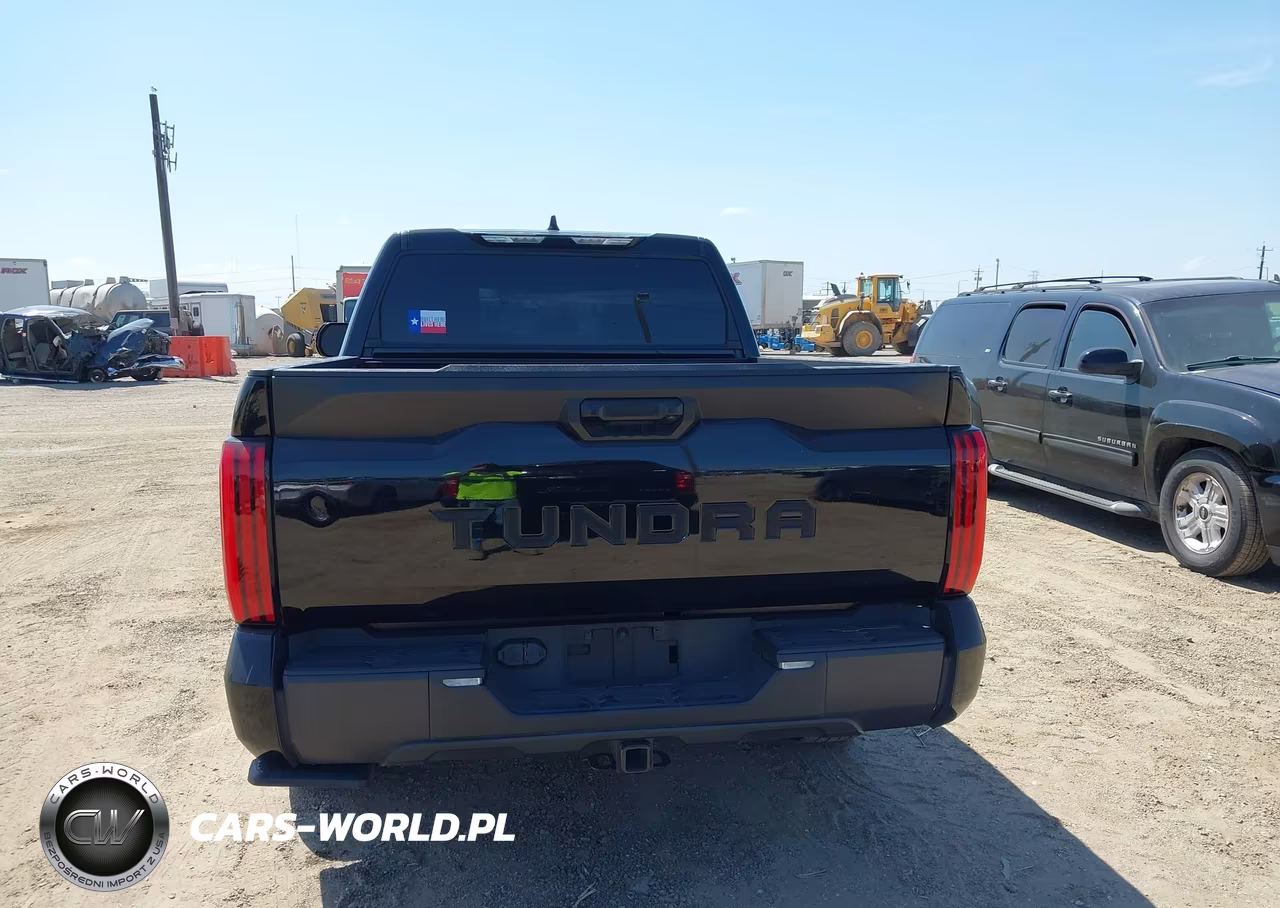 2022 Toyota Tundra Sr5 VIN:5TFLA5AB8NX019384 - 17