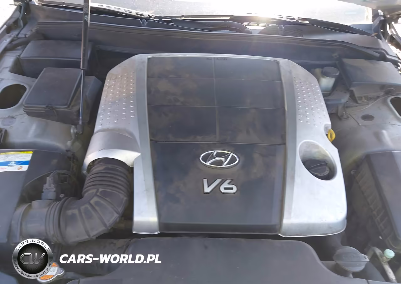 2011 Hyundai Genesis 3.8 VIN:KMHGC4DE6BU130956 - 10