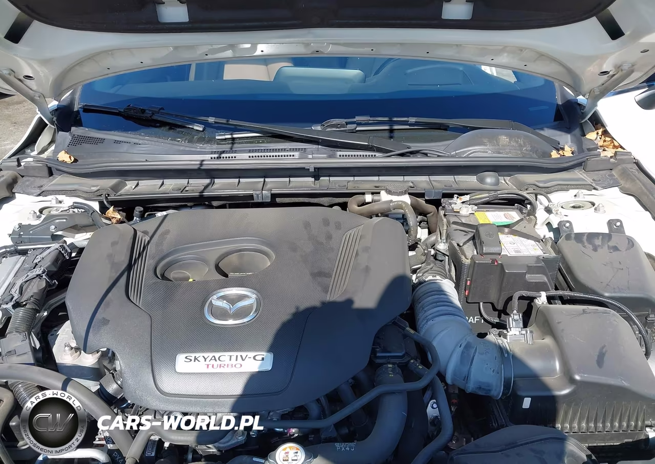 2022 Mazda Mazda3 2.5 Turbo VIN:JM1BPBJY8N1517424 - 10