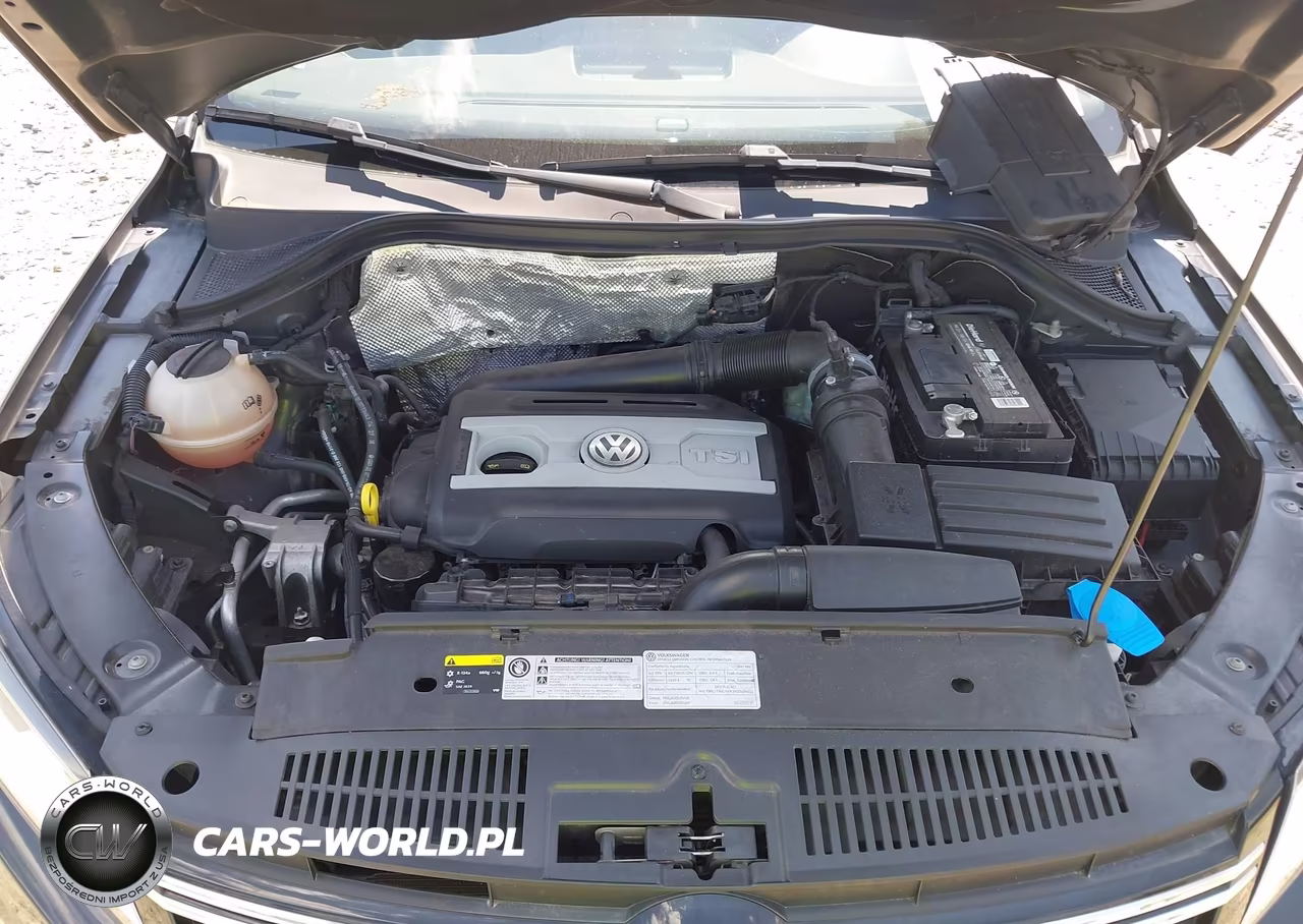 2017 Volkswagen Tiguan 2.0T Wolfsburg Edition VIN:WVGRV7AX6HK009424 - 10