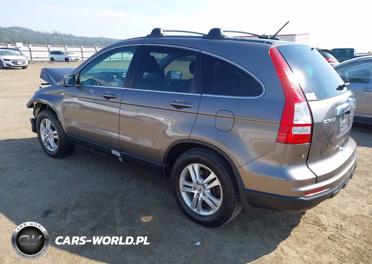 2010 Honda Cr-V Ex-L VIN:5J6RE4H79AL052786 - 3