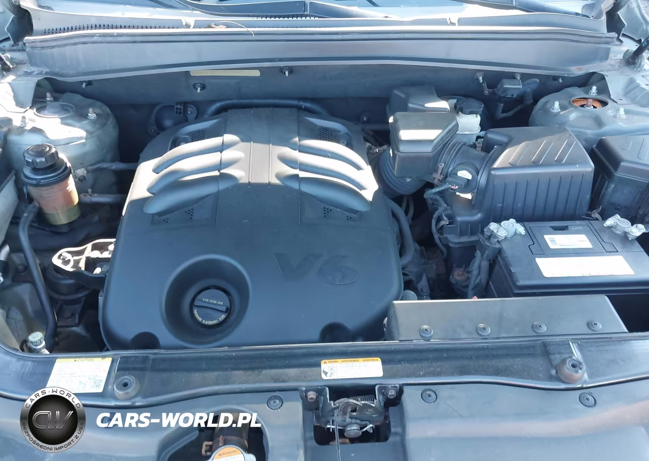 2009 Hyundai Santa Fe Se VIN:5NMSH73E79H296049 - 10