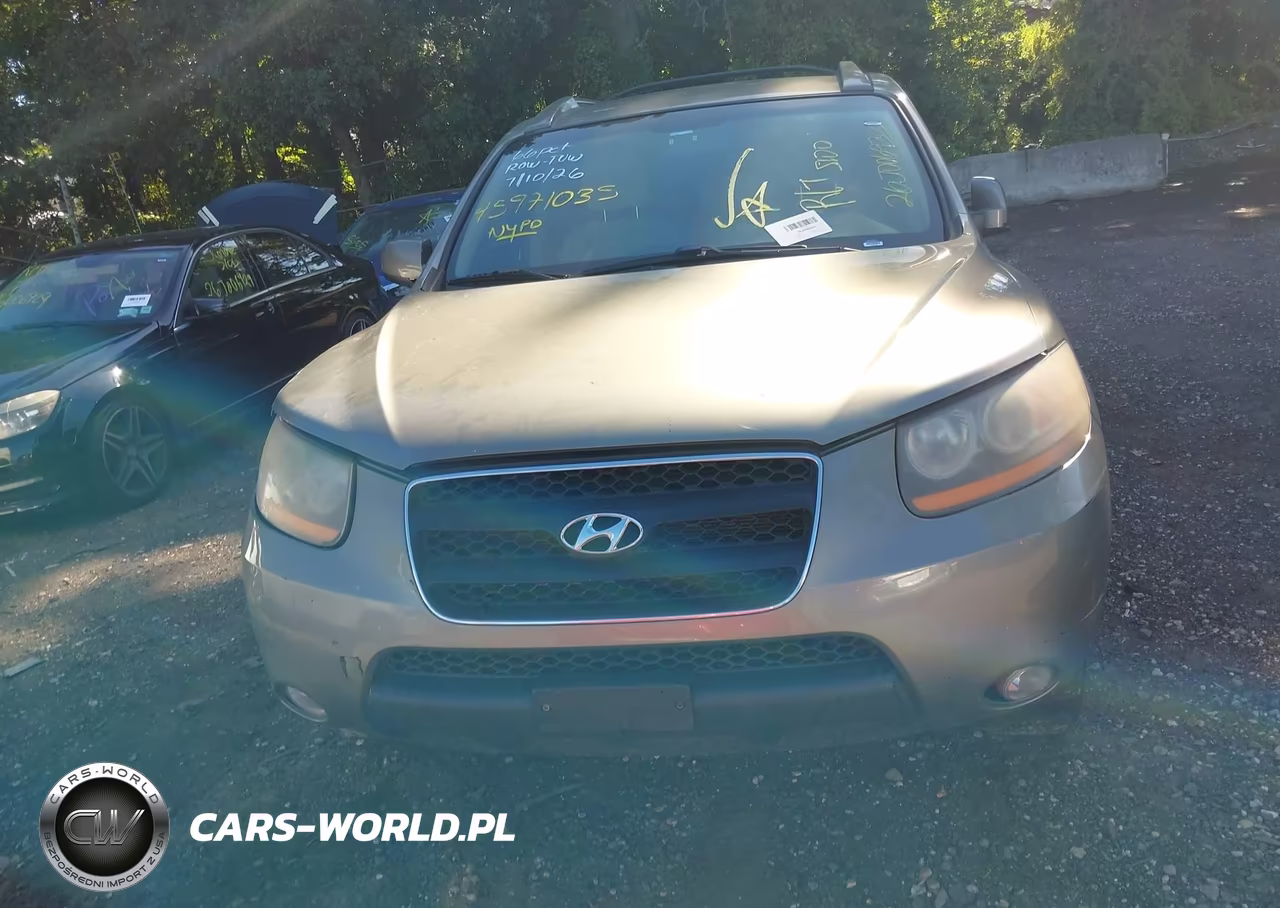2009 Hyundai Santa Fe Se VIN:5NMSH73E79H296049 - 6