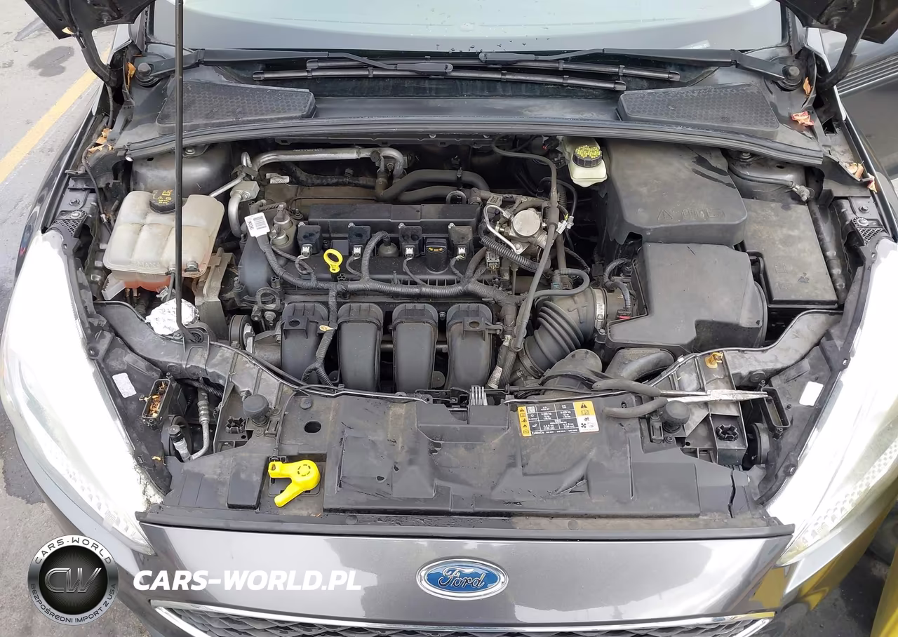 2017 Ford Focus Se VIN:1FADP3K26HL206534 - 10