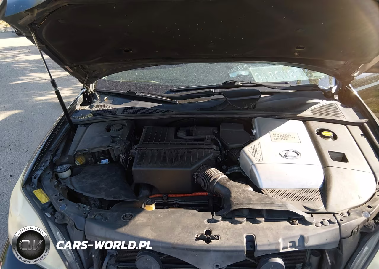 2006 Lexus Rx 400H VIN:JTJHW31U760014410 - 10