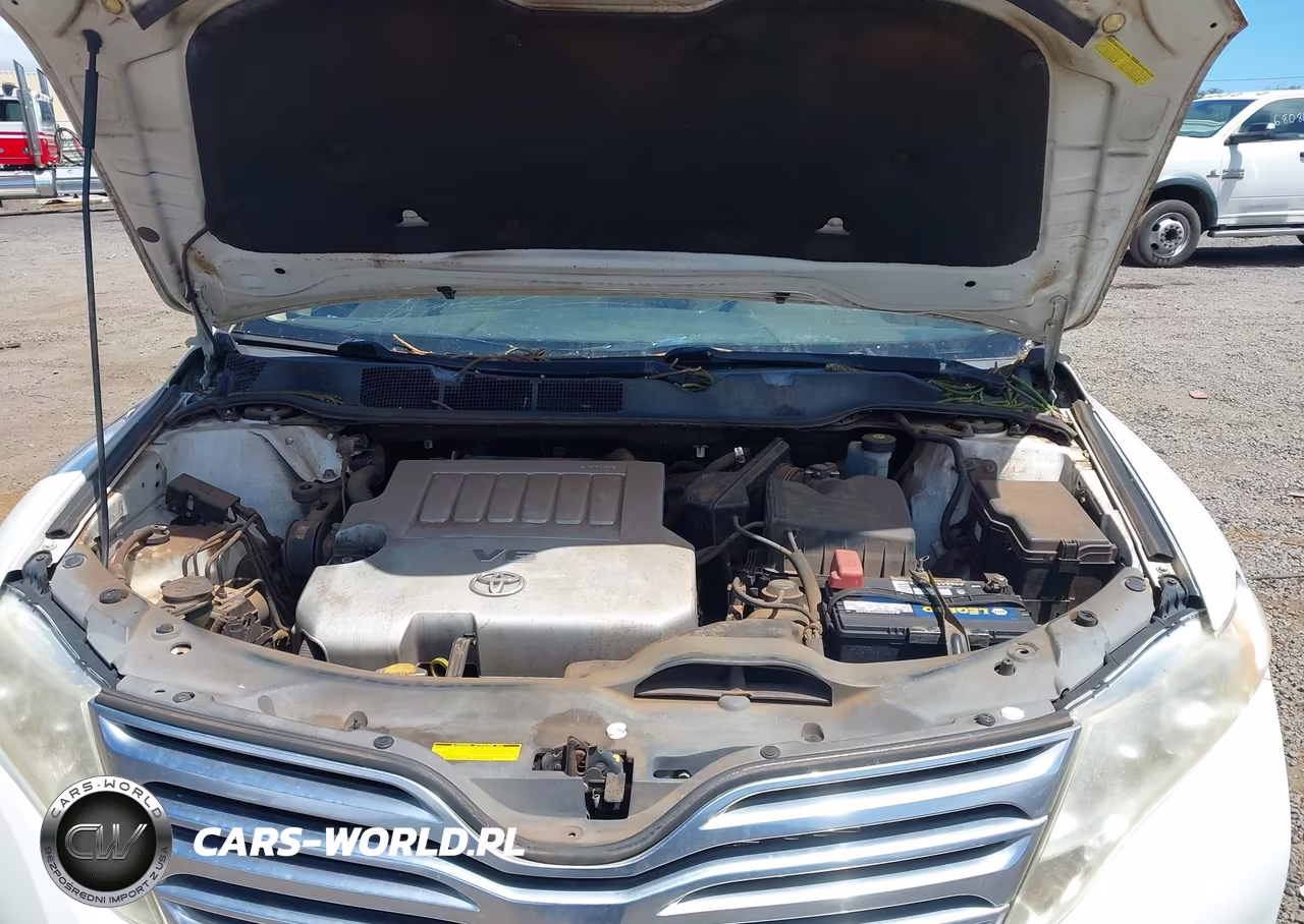 2009 Toyota Venza Base V6 VIN:4T3ZK11A09U002077 - 10