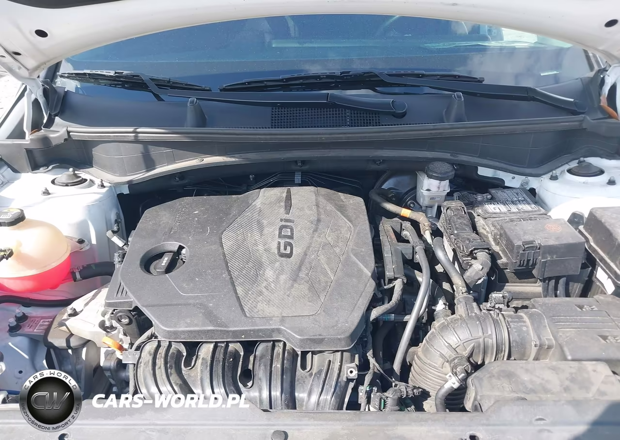 2023 Kia Sportage Ex VIN:5XYK33AF3PG125289 - 10