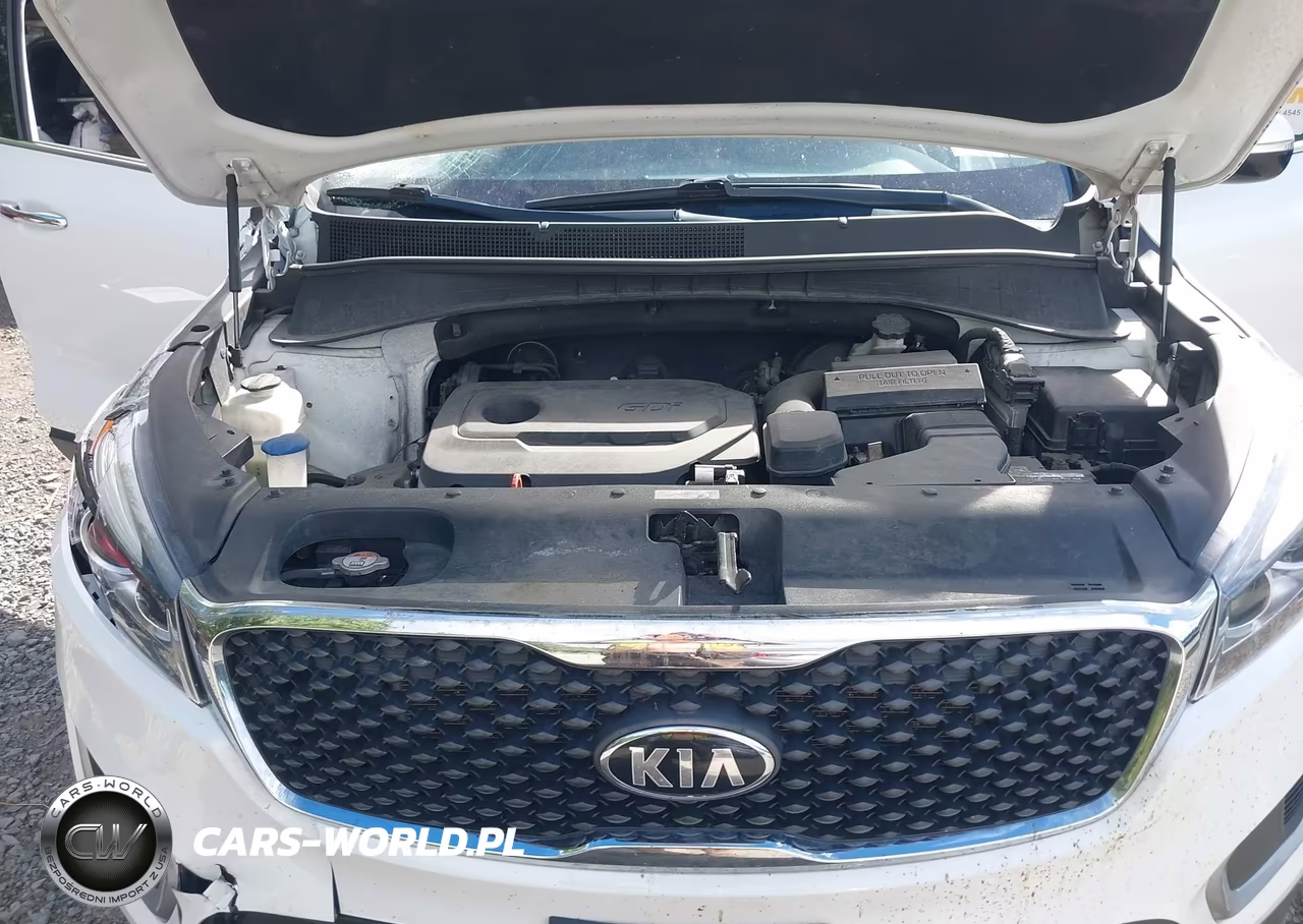 2018 Kia Sorento 2.4L Lx VIN:5XYPGDA35JG425977 - 10