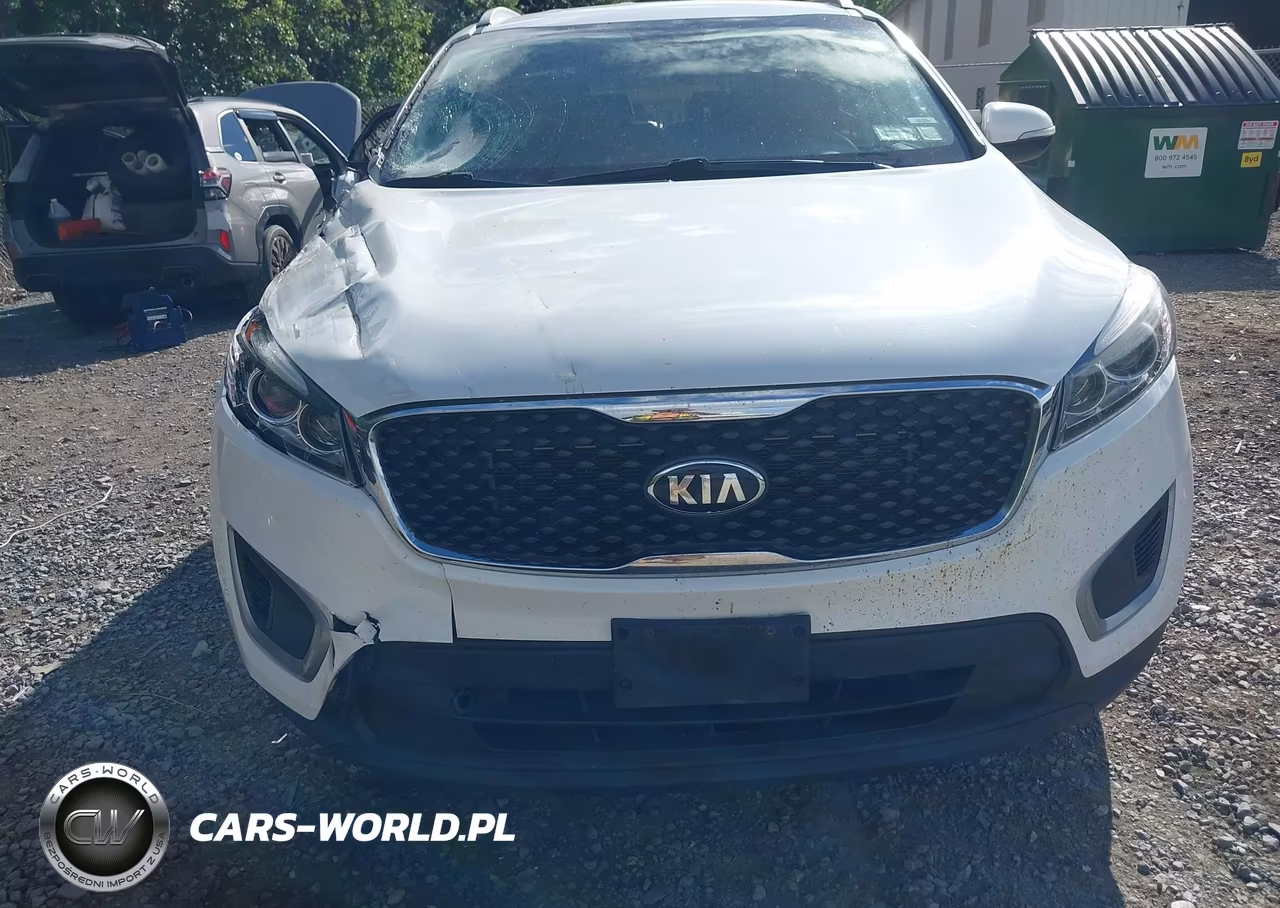 2018 Kia Sorento 2.4L Lx VIN:5XYPGDA35JG425977 - 12