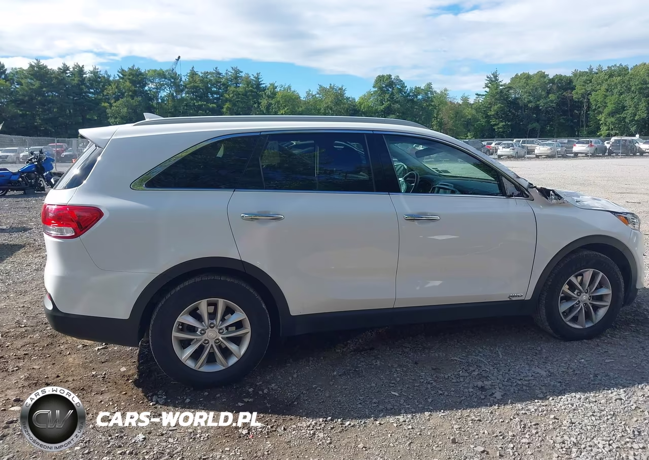 2018 Kia Sorento 2.4L Lx VIN:5XYPGDA35JG425977 - 13