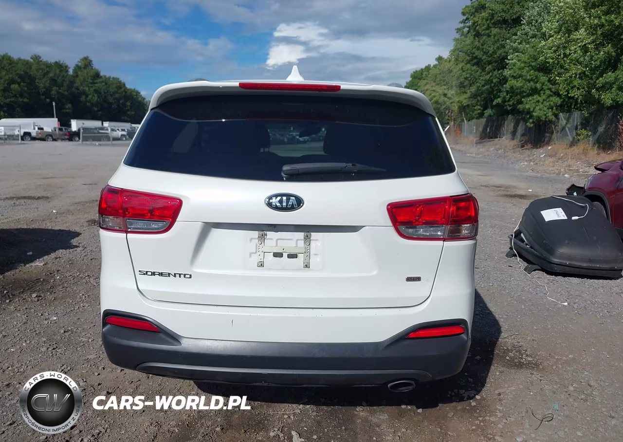 2018 Kia Sorento 2.4L Lx VIN:5XYPGDA35JG425977 - 16