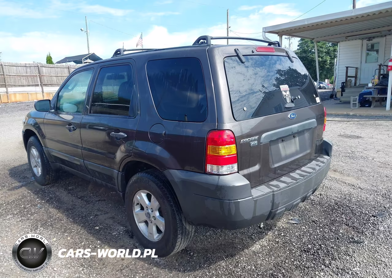 2007 Ford Escape Xlt VIN:1FMYU03Z27KA03784 - 3