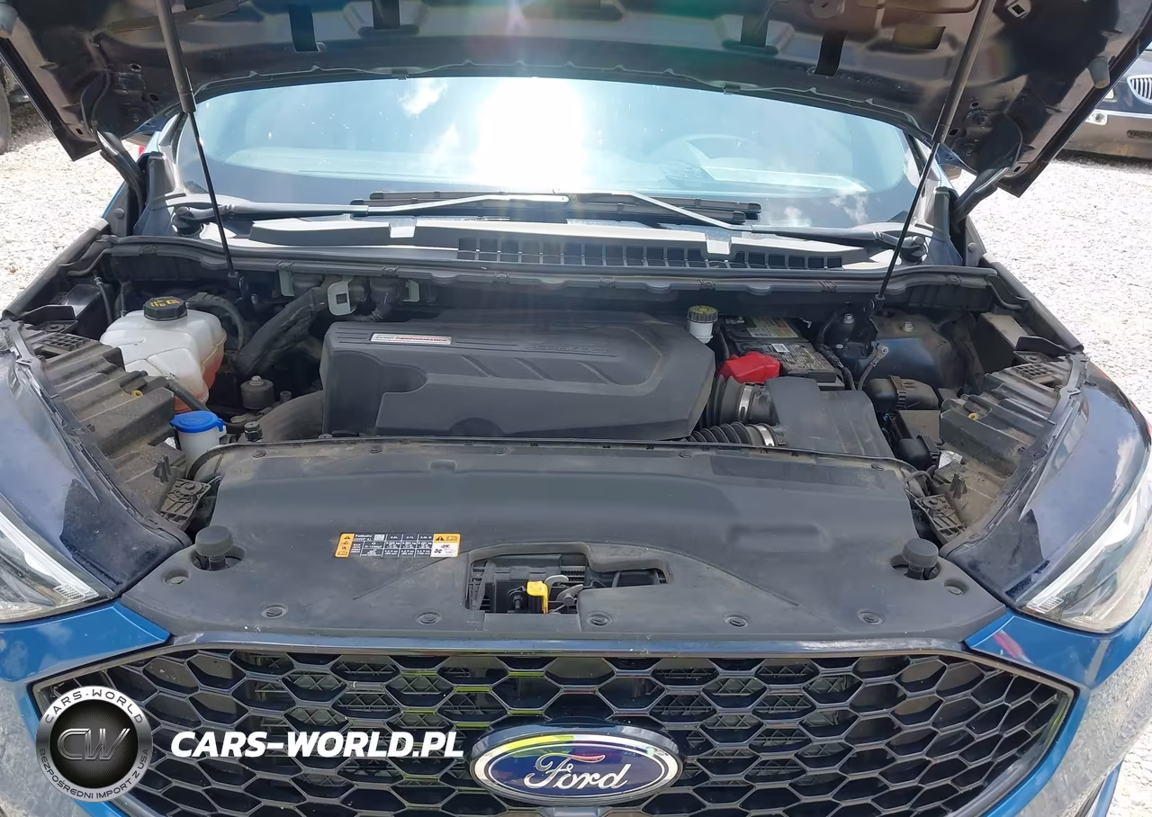 2019 Ford Edge St VIN:2FMPK4AP4KBC32206 - 10