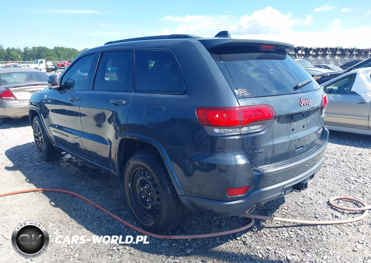 2017 Jeep Grand Cherokee Trailhawk VIN:1C4RJFLG3HC754293 - 3