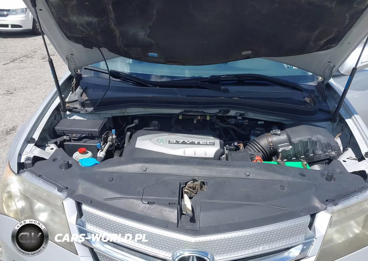 2009 Acura Mdx VIN:2HNYD282X9H523473 - 10