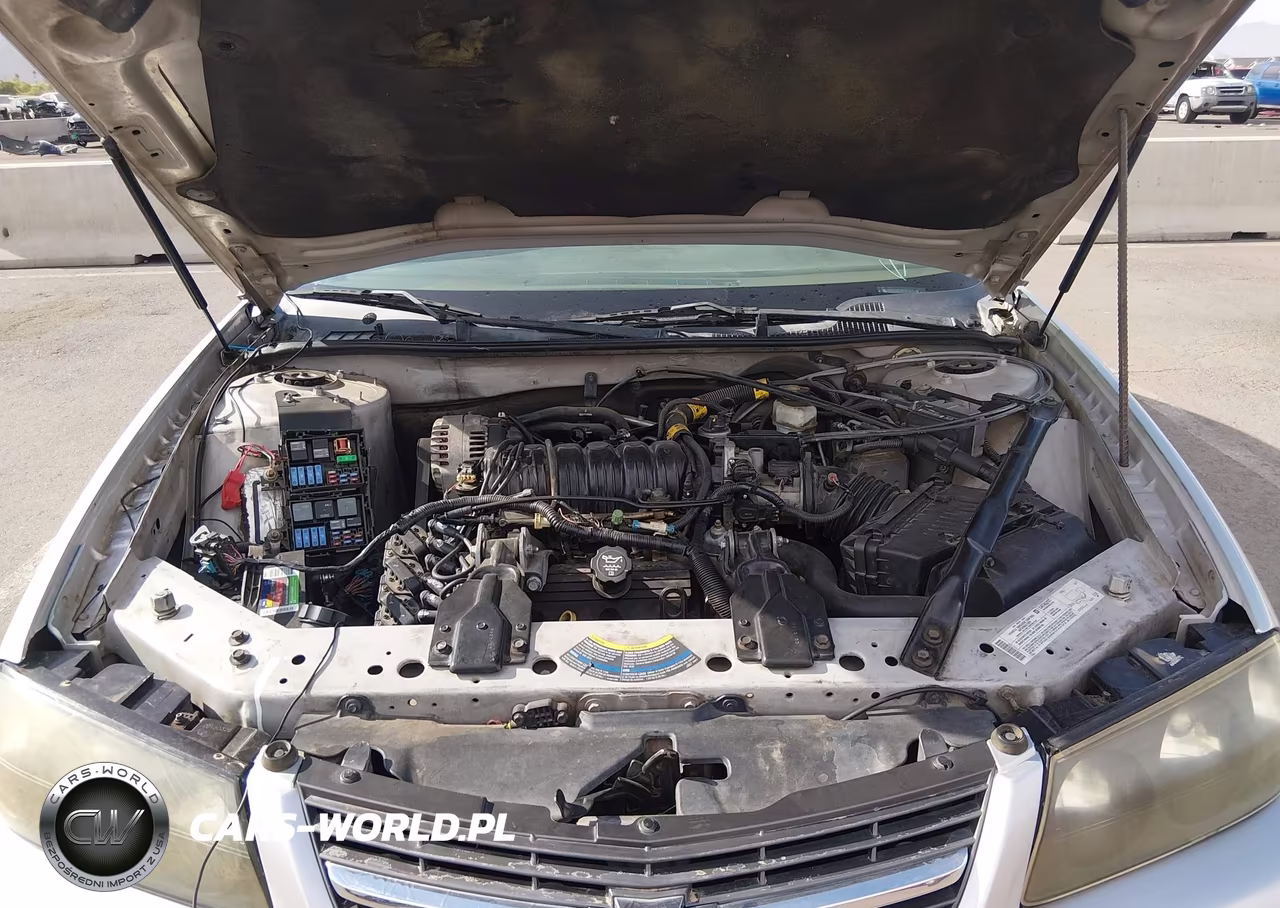 2004 Chevrolet Impala Ls VIN:2G1WH52K849163790 - 10