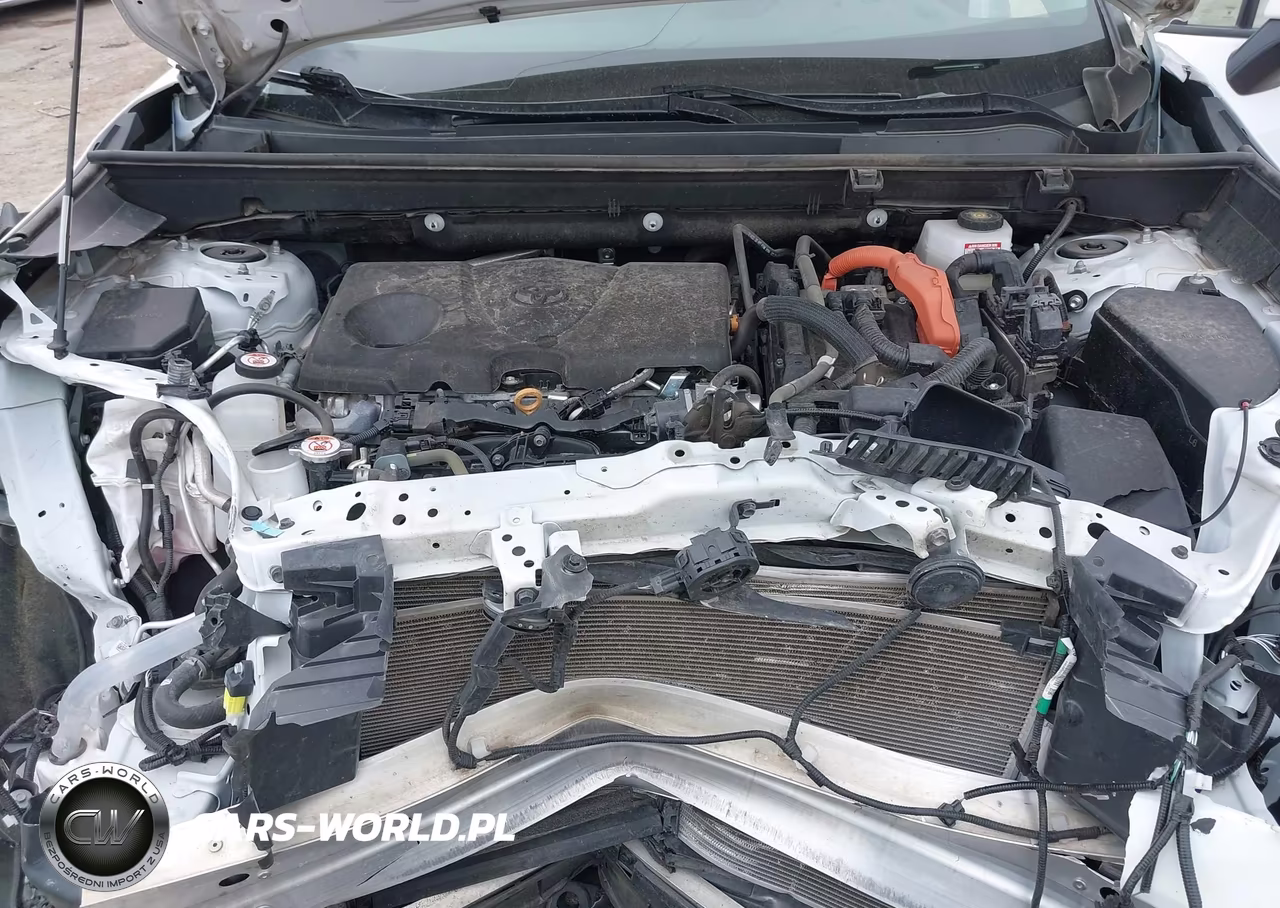 2025 Toyota Rav4 Hybrid Xle VIN:2T3RWRFVXSW266976 - 10