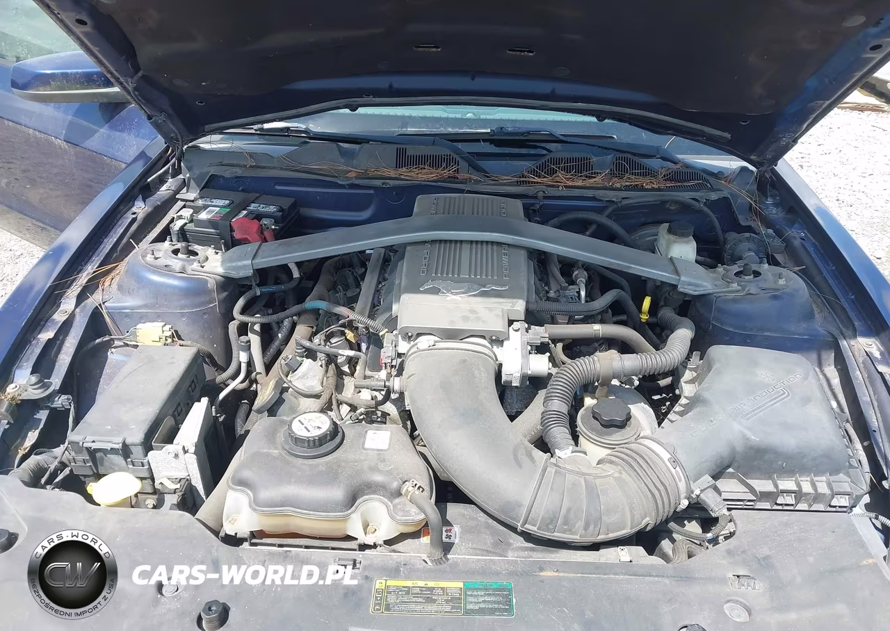 2010 Ford Mustang Gt Premium VIN:1ZVBP8CH8A5109084 - 10