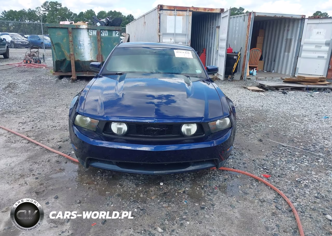 2010 Ford Mustang Gt Premium VIN:1ZVBP8CH8A5109084 - 12