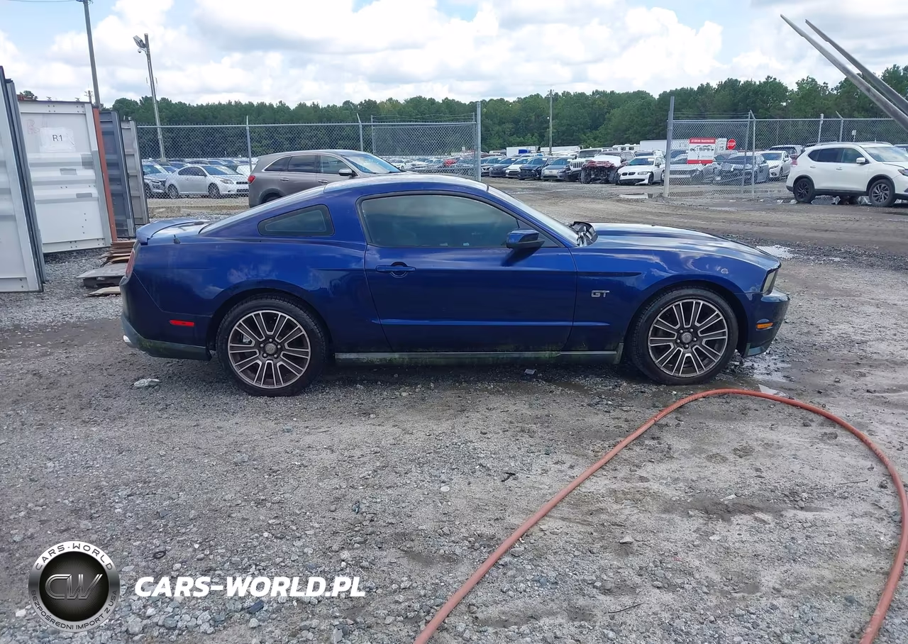 2010 Ford Mustang Gt Premium VIN:1ZVBP8CH8A5109084 - 13