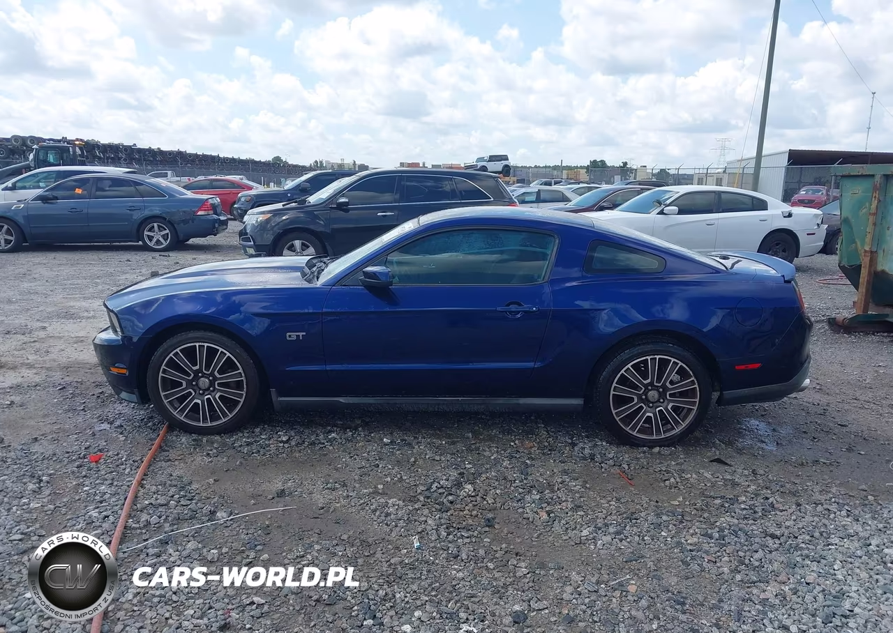 2010 Ford Mustang Gt Premium VIN:1ZVBP8CH8A5109084 - 14