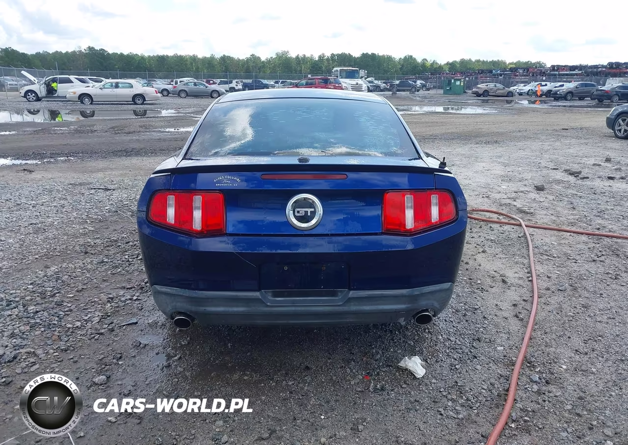 2010 Ford Mustang Gt Premium VIN:1ZVBP8CH8A5109084 - 16