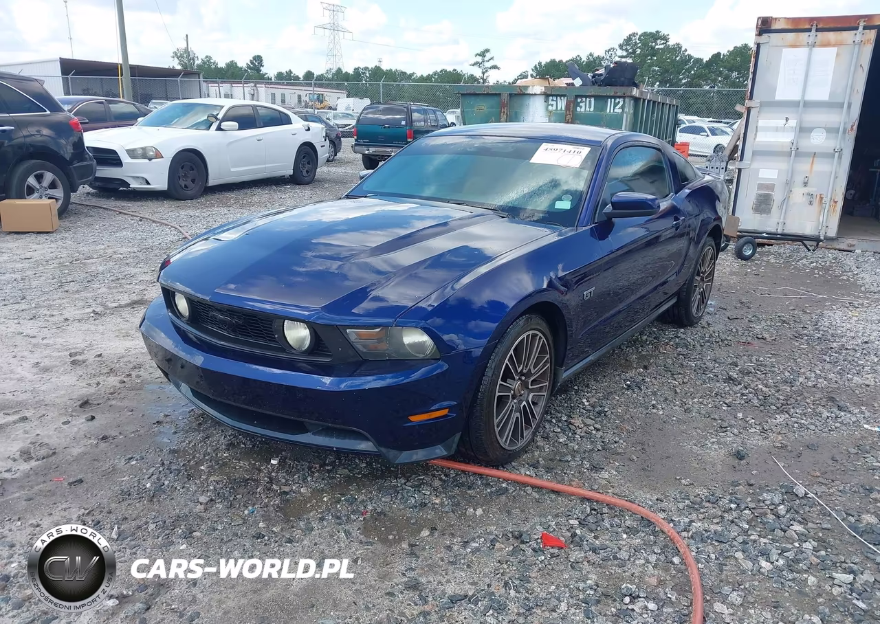 2010 Ford Mustang Gt Premium VIN:1ZVBP8CH8A5109084 - 2