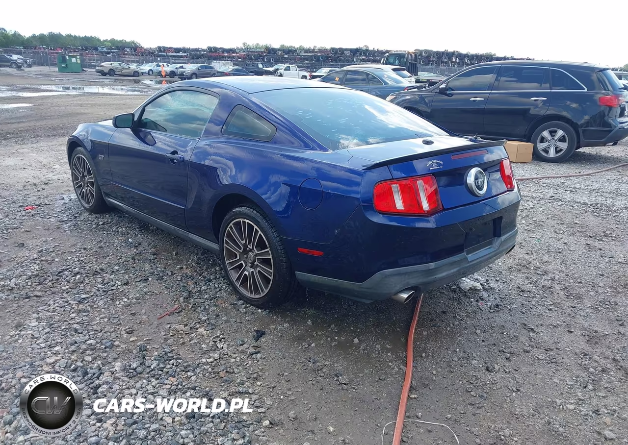 2010 Ford Mustang Gt Premium VIN:1ZVBP8CH8A5109084 - 3