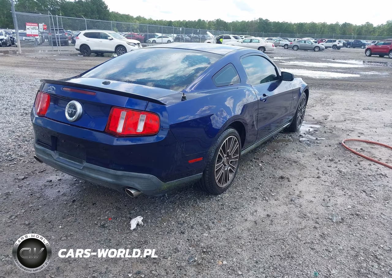 2010 Ford Mustang Gt Premium VIN:1ZVBP8CH8A5109084 - 4