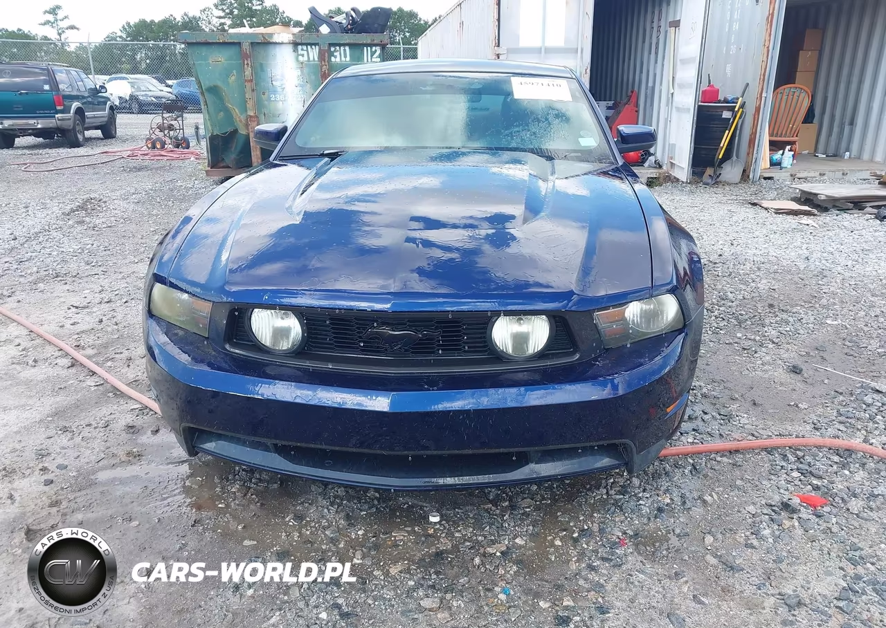 2010 Ford Mustang Gt Premium VIN:1ZVBP8CH8A5109084 - 6