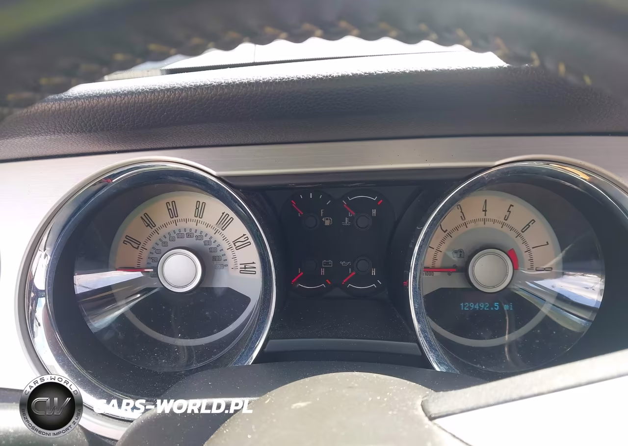 2010 Ford Mustang Gt Premium VIN:1ZVBP8CH8A5109084 - 7