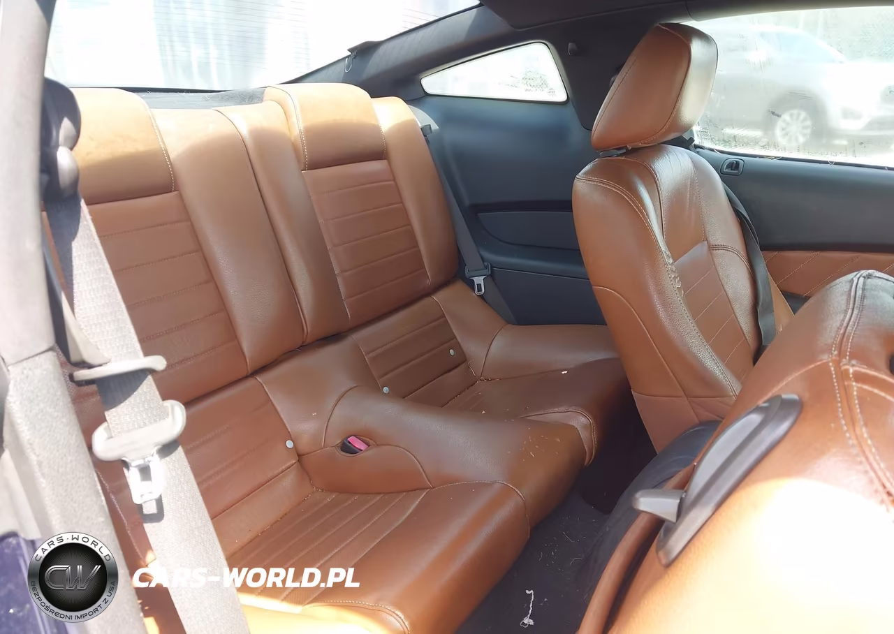 2010 Ford Mustang Gt Premium VIN:1ZVBP8CH8A5109084 - 8