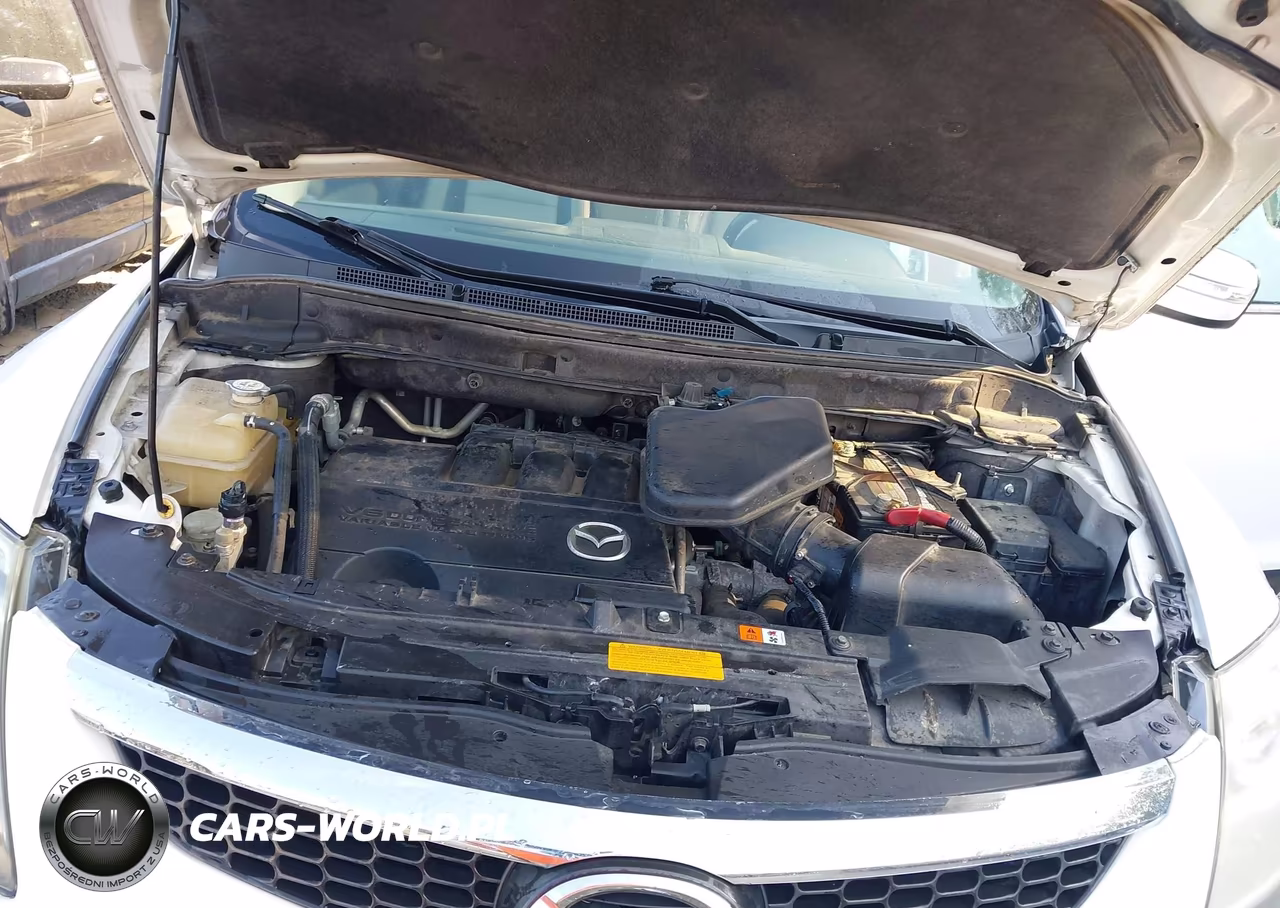 2009 Mazda Cx-9 Grand Touring VIN:JM3TB28A490178546 - 10
