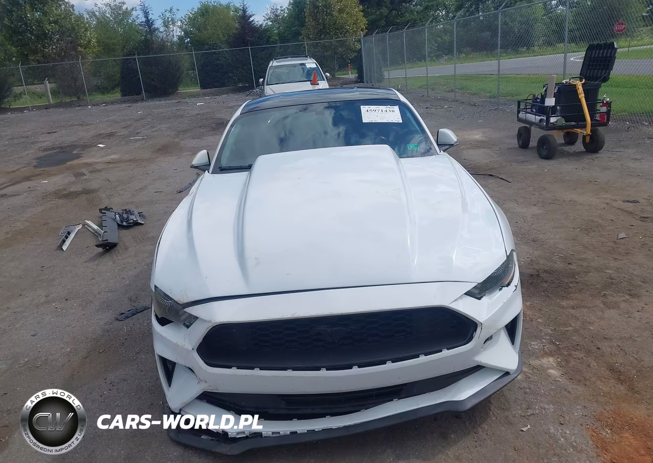 2019 Ford Mustang Gt Premium VIN:1FA6P8CF7K5134651 - 13