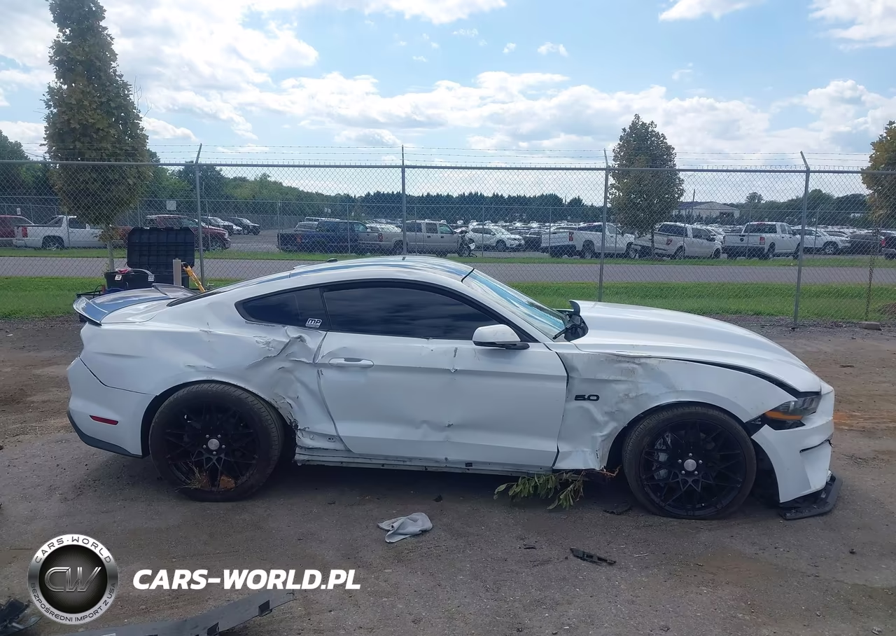 2019 Ford Mustang Gt Premium VIN:1FA6P8CF7K5134651 - 14