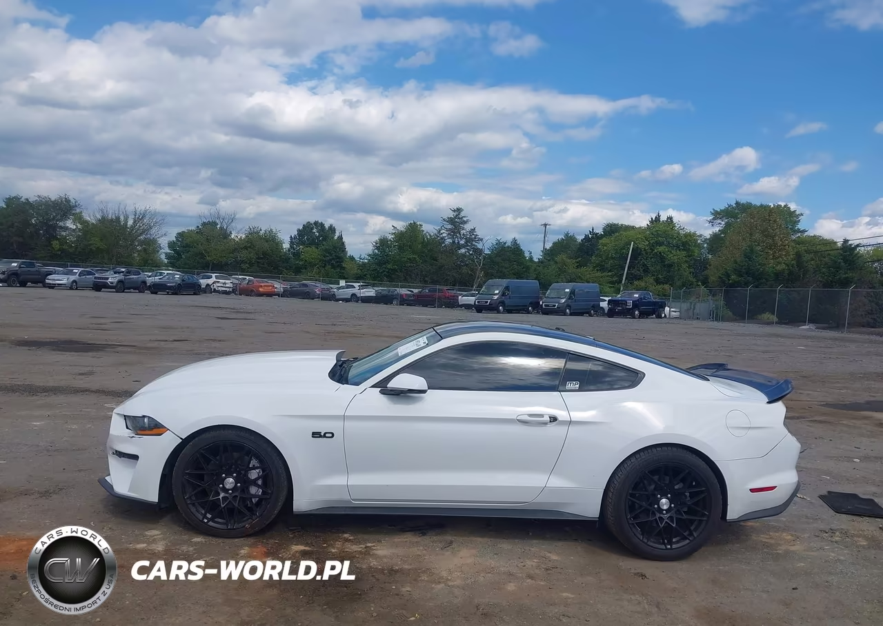 2019 Ford Mustang Gt Premium VIN:1FA6P8CF7K5134651 - 15