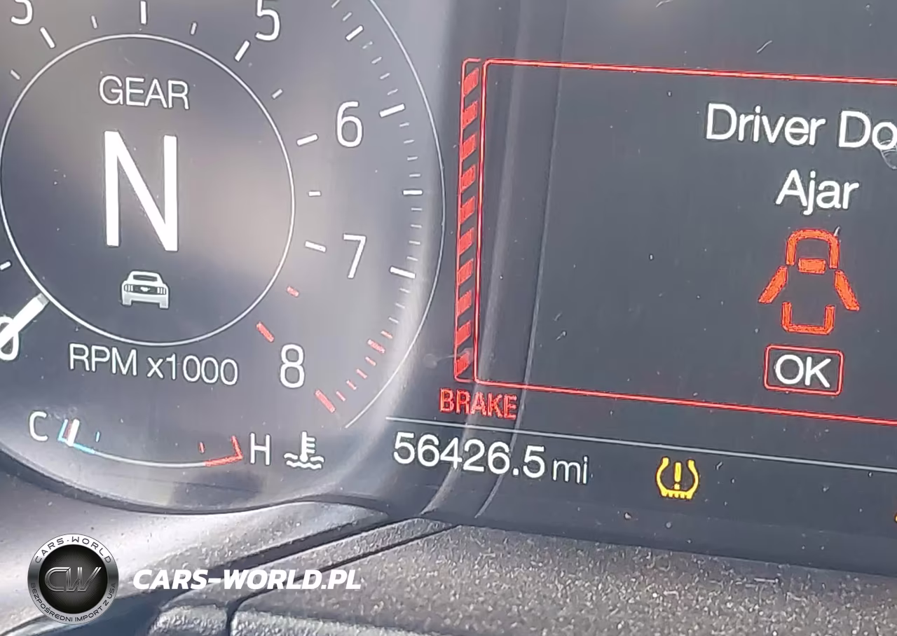 2019 Ford Mustang Gt Premium VIN:1FA6P8CF7K5134651 - 16