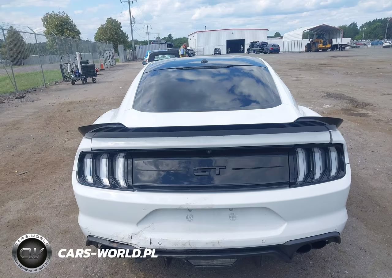 2019 Ford Mustang Gt Premium VIN:1FA6P8CF7K5134651 - 17