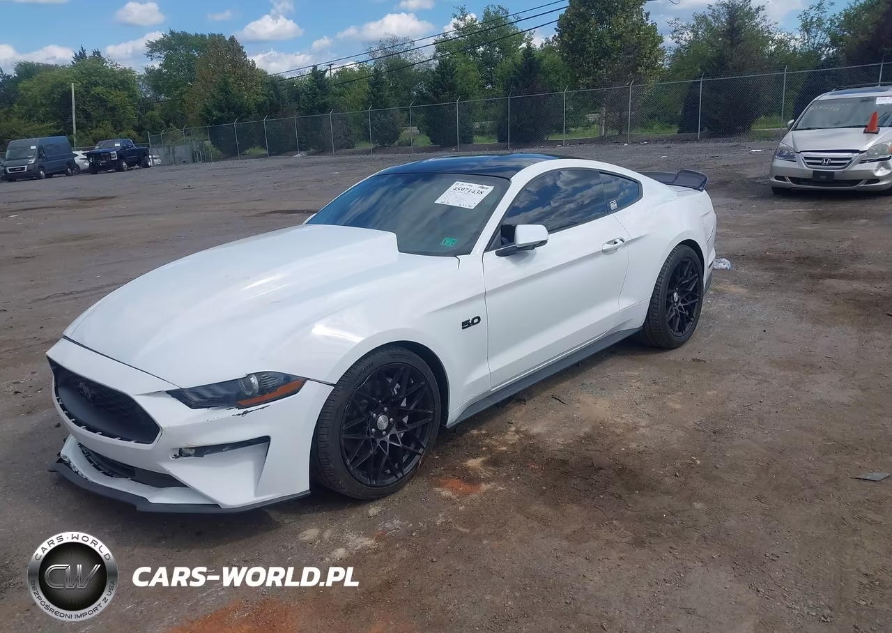 2019 Ford Mustang Gt Premium VIN:1FA6P8CF7K5134651 - 2