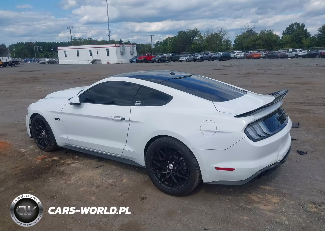 2019 Ford Mustang Gt Premium VIN:1FA6P8CF7K5134651 - 3