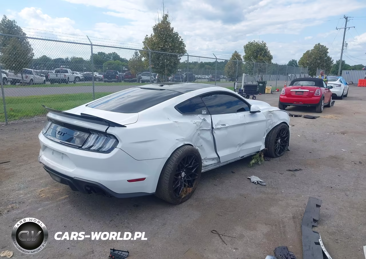 2019 Ford Mustang Gt Premium VIN:1FA6P8CF7K5134651 - 4